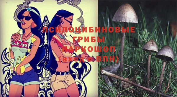стаф Протвино