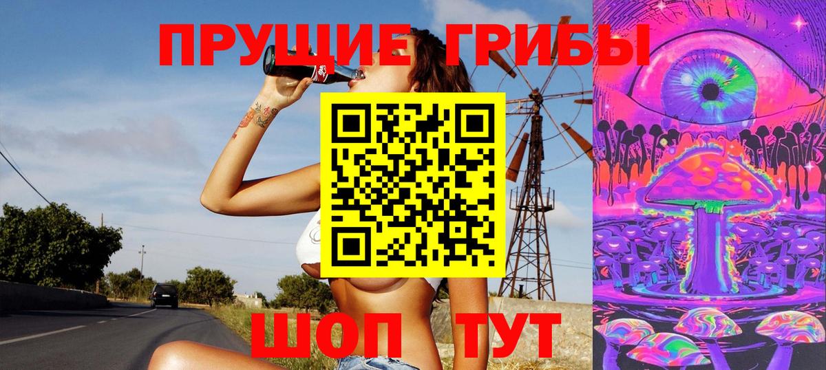 Кировск  Псилоцибиновые грибы Cubensis  Вход с VPN 